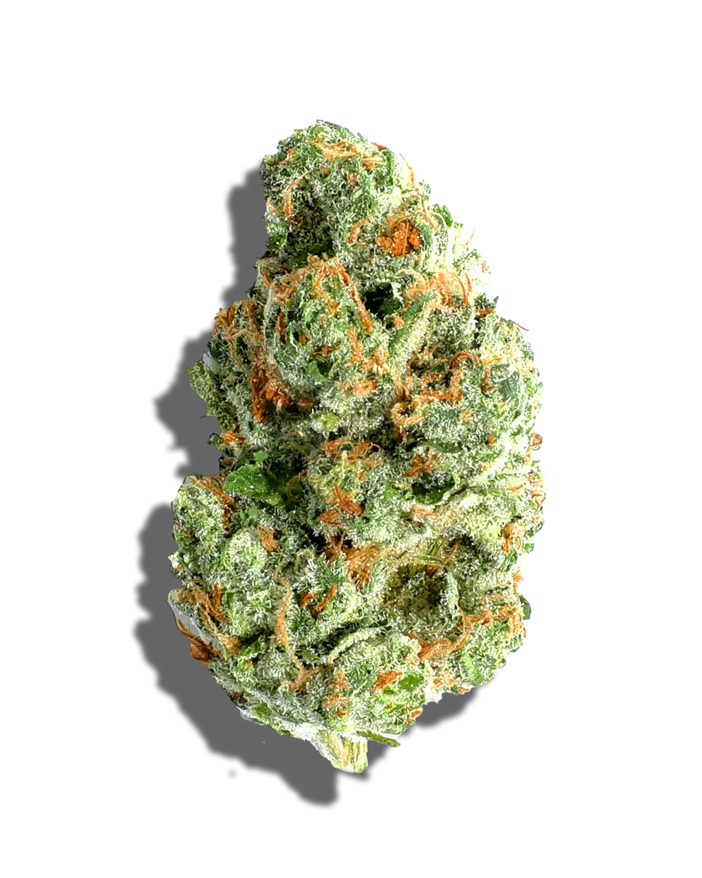 Bolo Runtz(Indica)