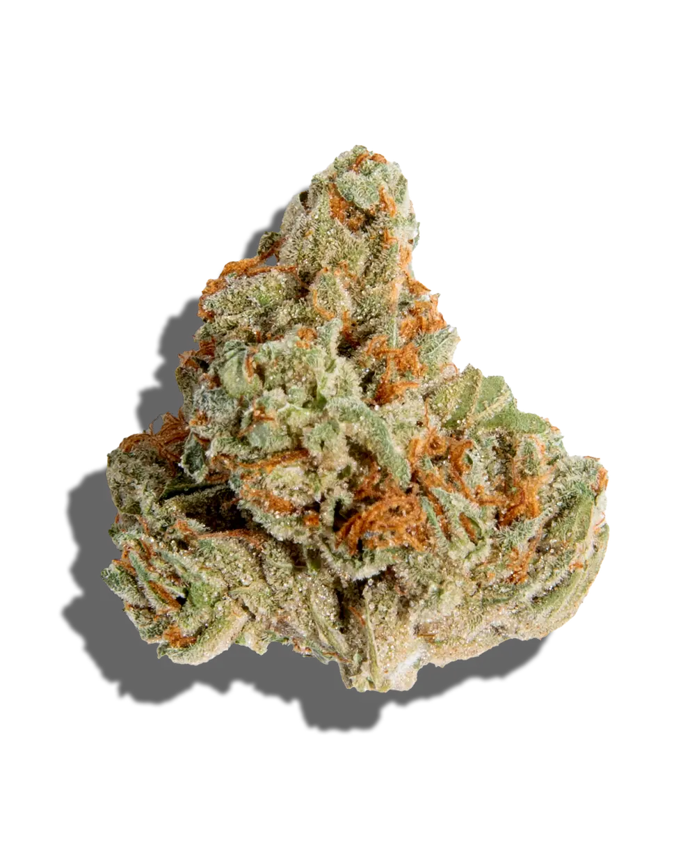 Astro Candy(Hybrid)