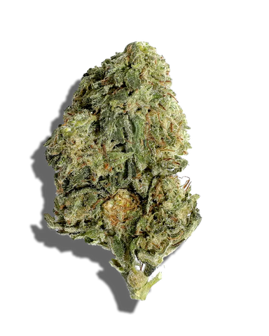 Cherry Candy(Hybrid)