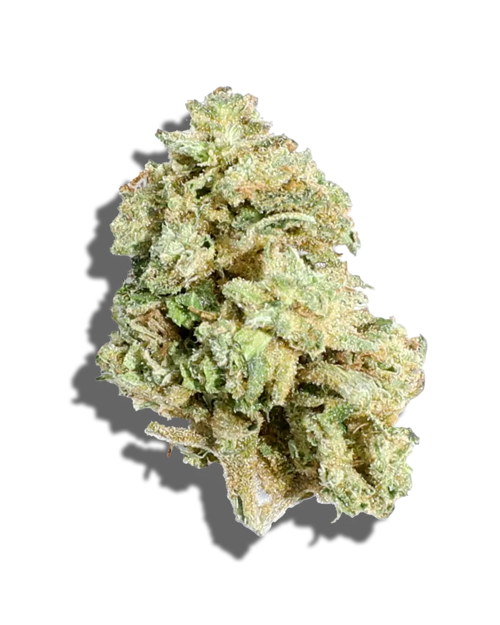 Grape Junky(Indica)