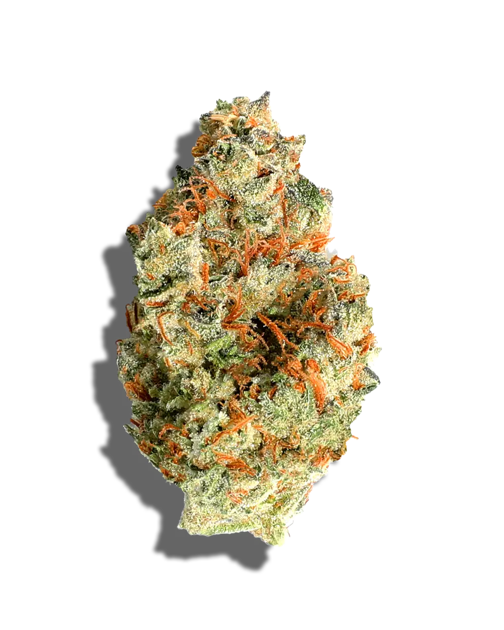 Cereal Milk(Hybrid)