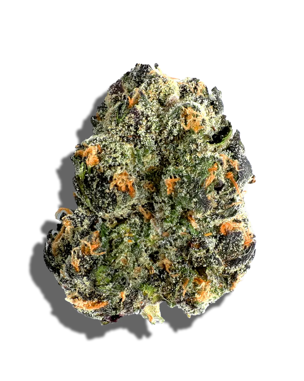 MAC 1(Hybrid)