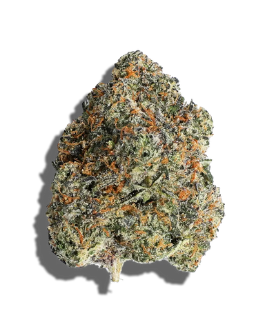 Twice Baked Runtz(Hybrid)