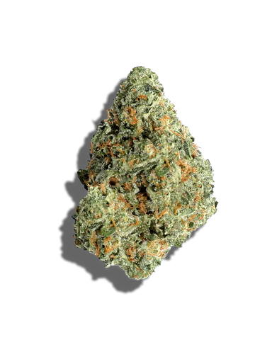 Cheetah Piss(Sativa Dom)
