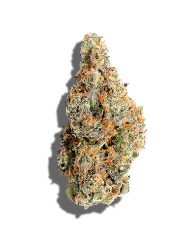 Cookies and Cream(Hybrid)