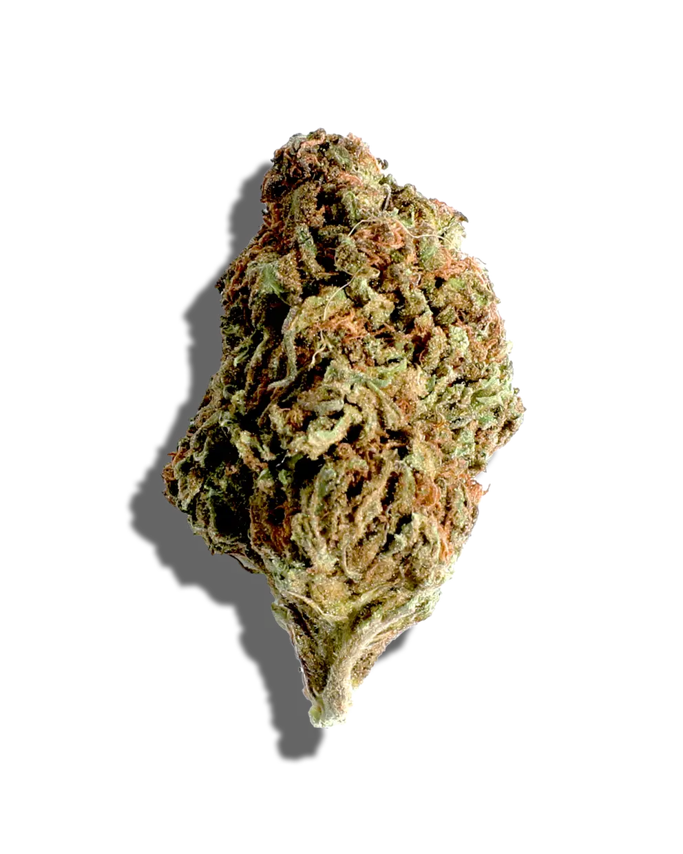 GMO Cookies(Hybrid)