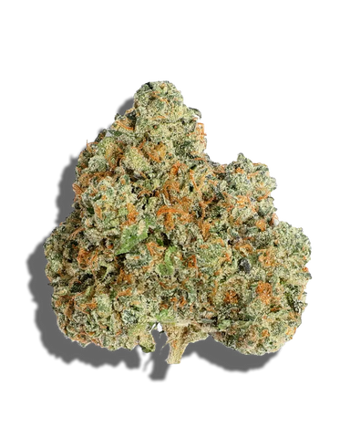 Sherbizzle(Hybrid)