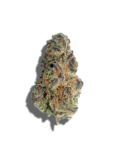 Blue Zoda(Hybrid)