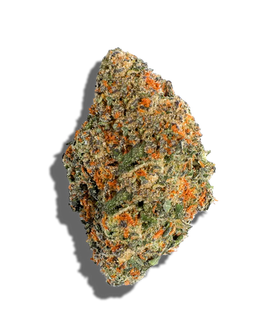 Soapz(Hybrid)