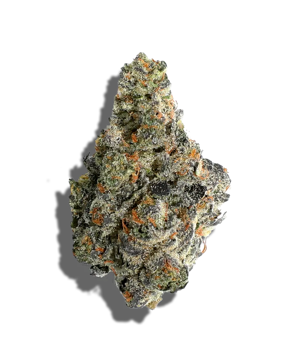 Sharpie(Hybrid)