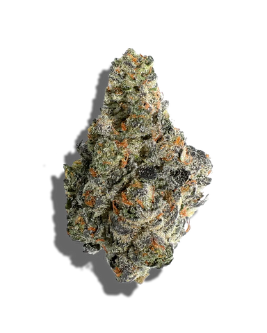 Sharpie(Hybrid)