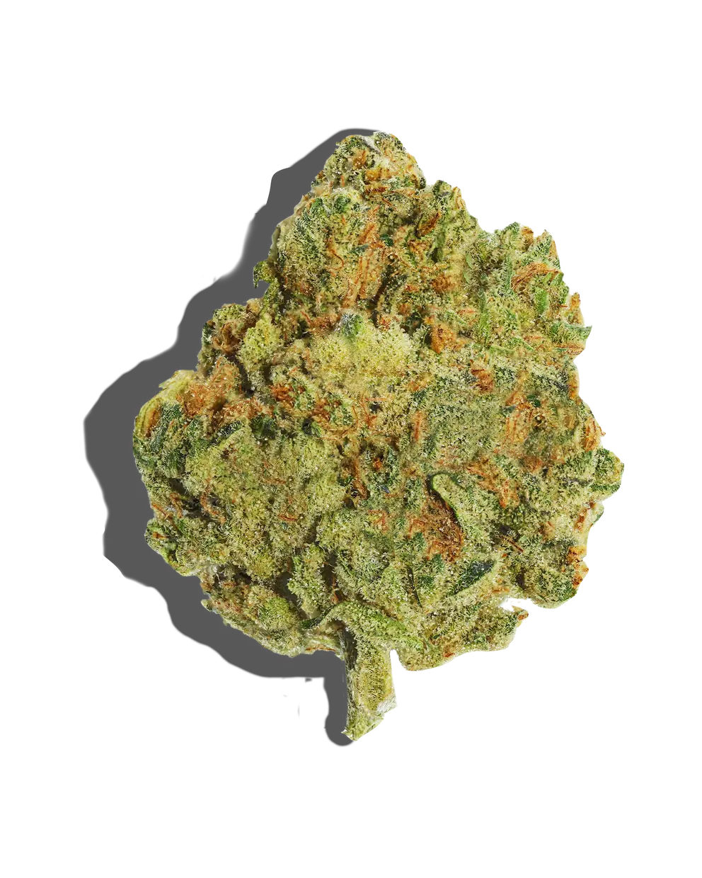 Confetti Cloudz(Hybrid)