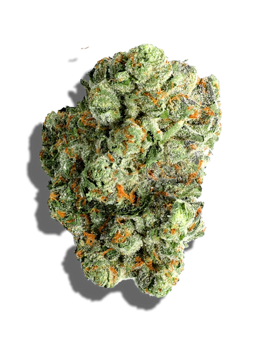 Jokerz(Hybrid)