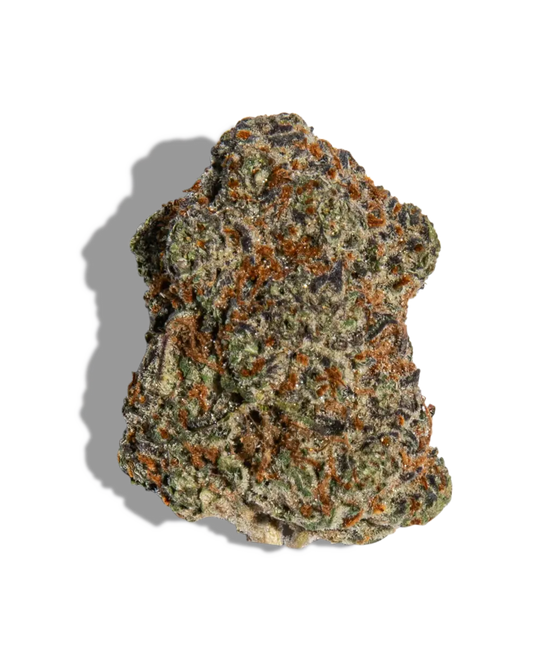 Blue Andeez(Hybrid)