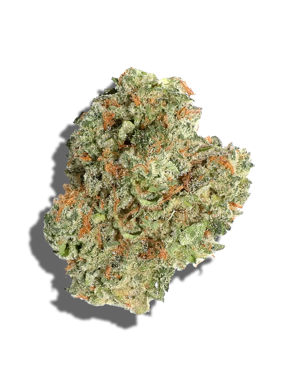 Cake Pop(Hybrid)