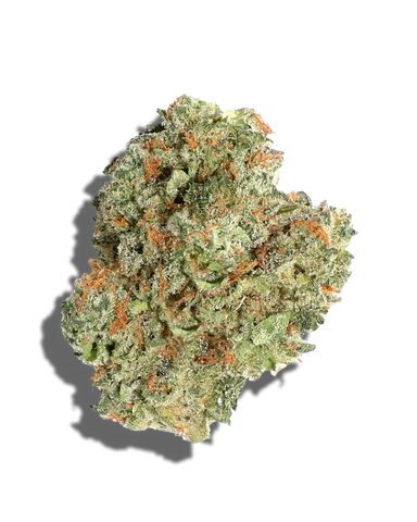 Cake Pop(Hybrid)