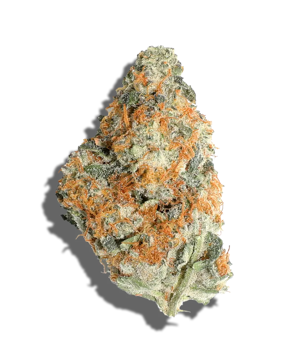 Divorce Cake(Hybrid)