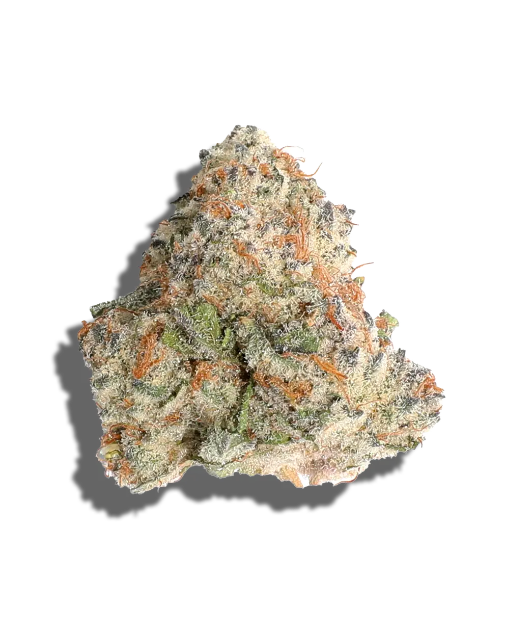 Mochi 30(Hybid)