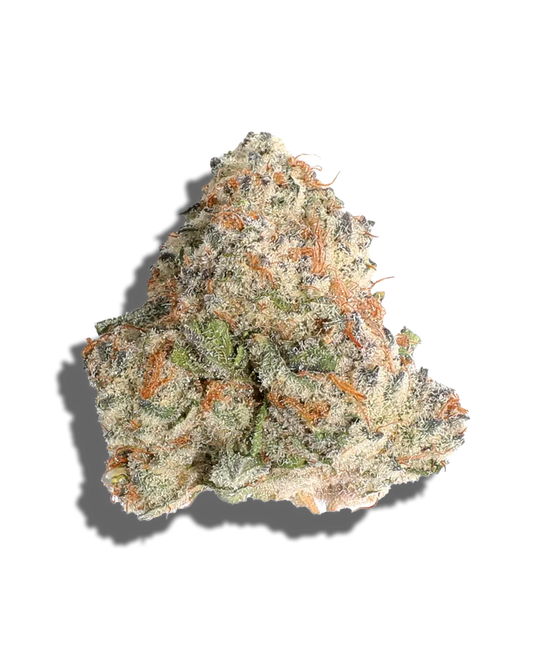 Mochi 30(Hybid)