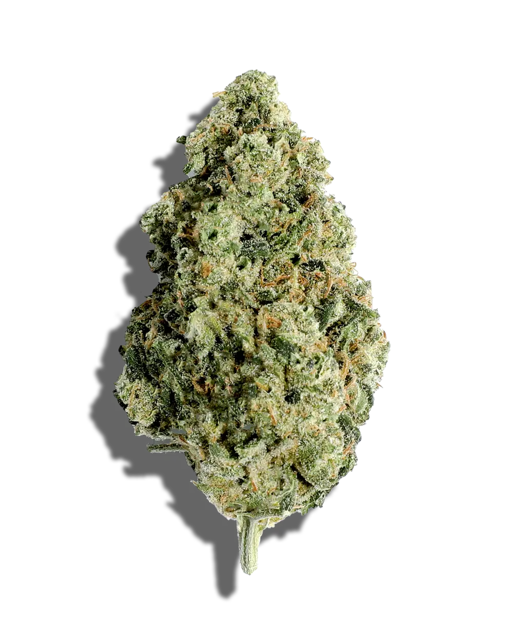 Medellin(Hybrid)