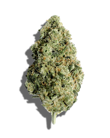 Medellin(Hybrid)