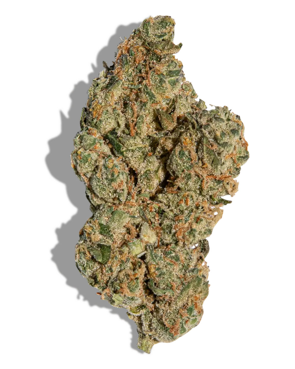 Real Runtz(Hybrid)