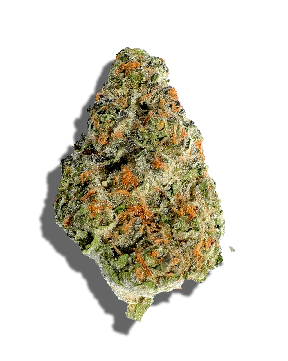 Mota LA Kush(Hybrid)