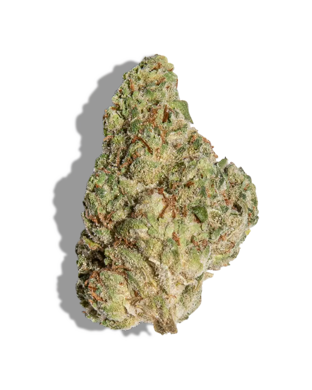 Lime Candy(Hybrid)
