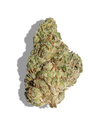Lime Candy(Hybrid)