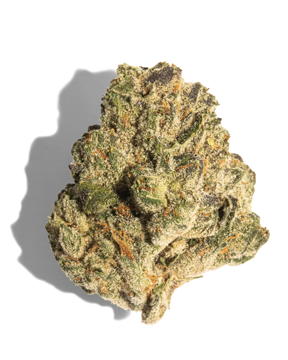 Mule Fuel(Hybrid)