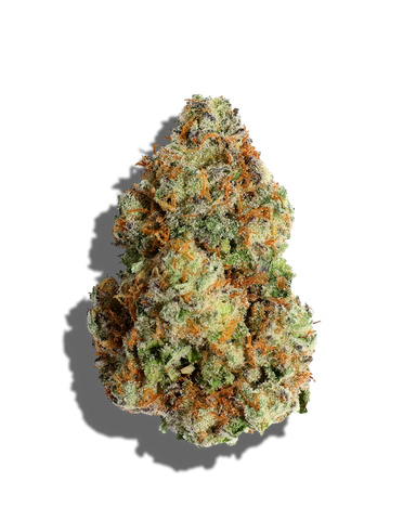 Blockberry(Hybrid)
