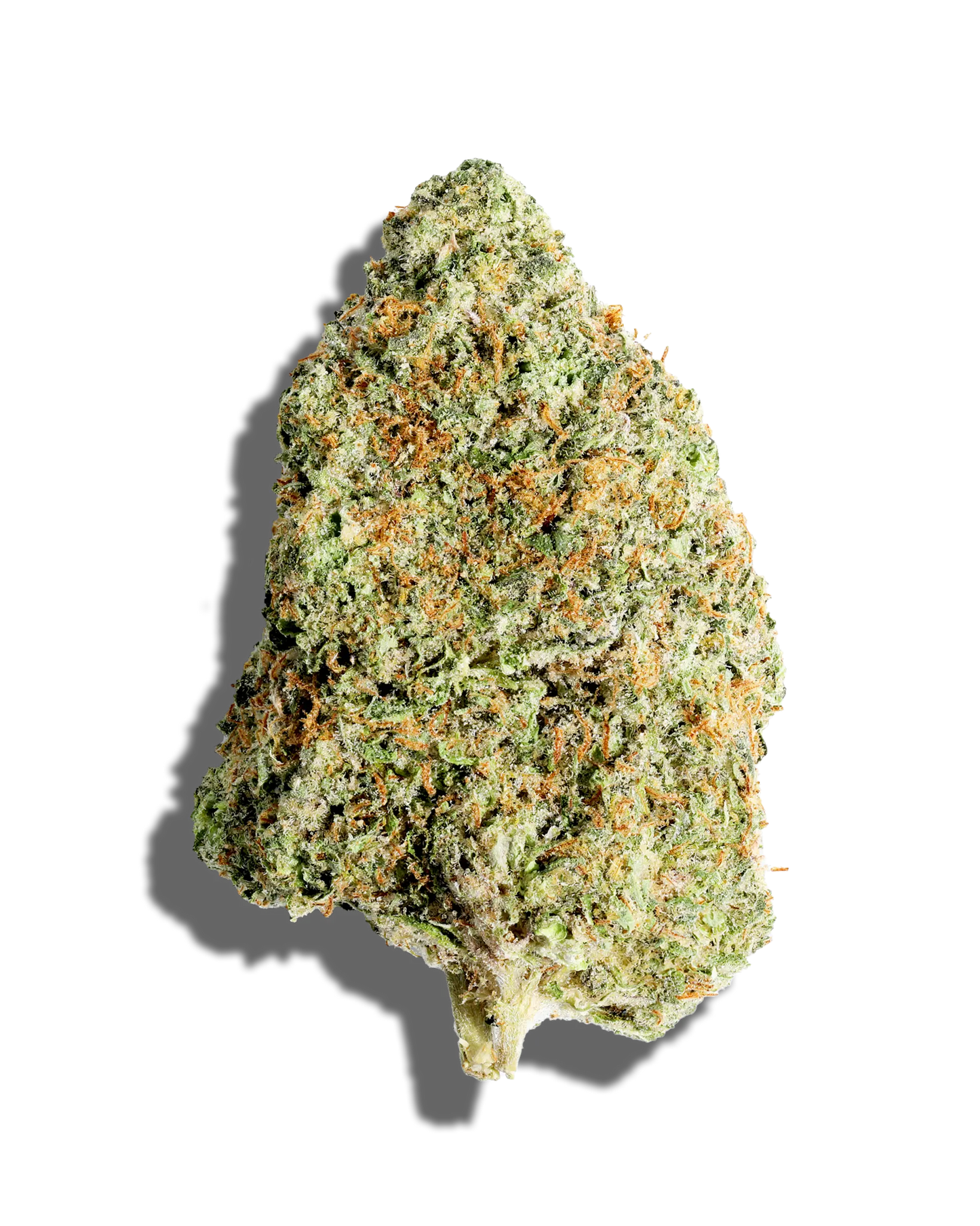 Gelato Cake(Indica)