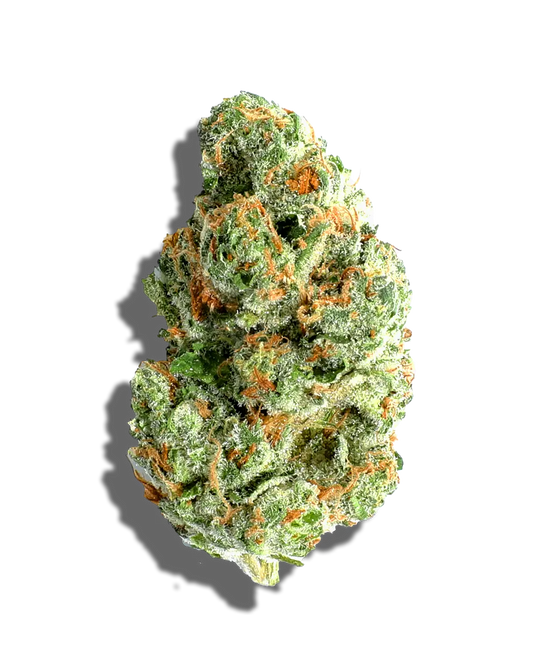 Bolo Runtz(Indica)