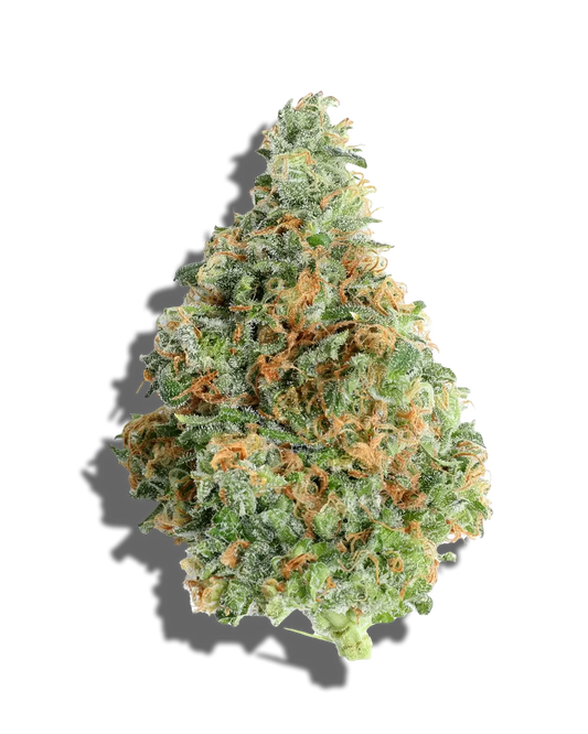 Triple Cake(Hybrid)