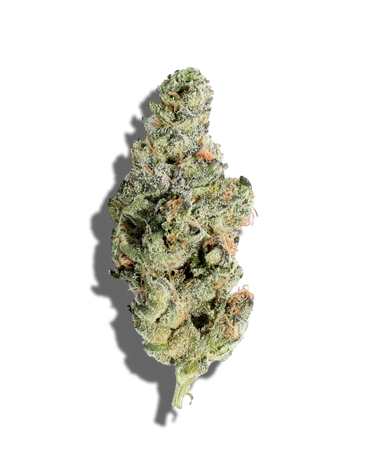 Blueberry Cake(Hybrid)