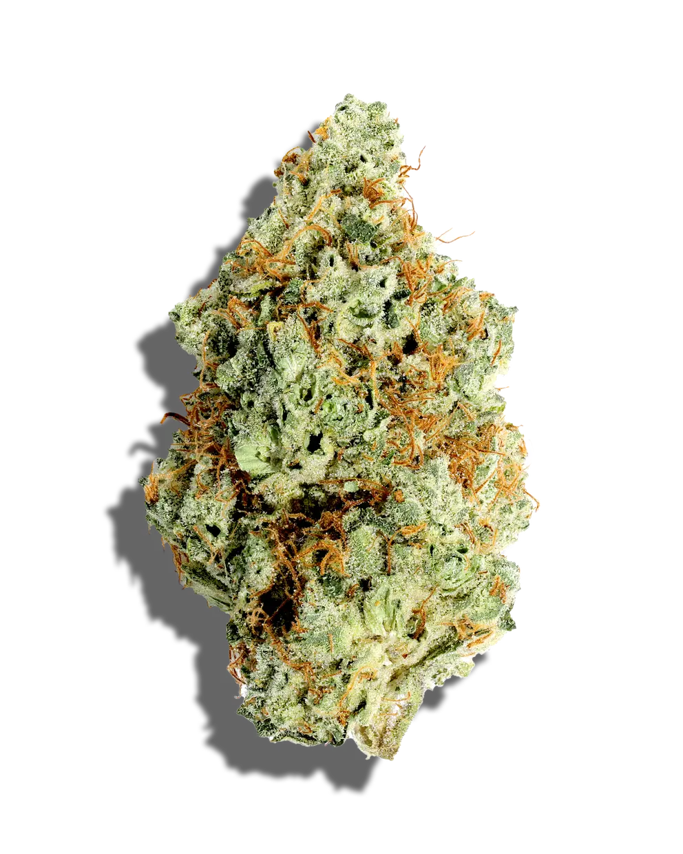 Powdered Donuts(Indica)