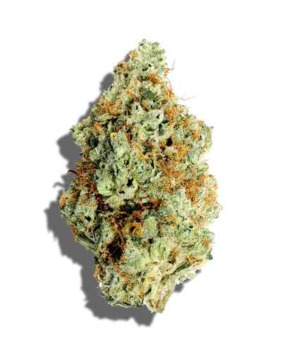 Powdered Donuts(Indica)