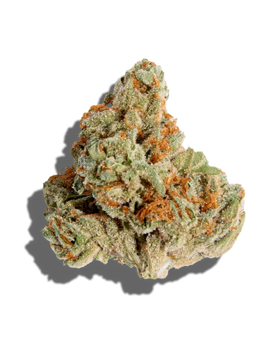 Astro Candy(Hybrid)