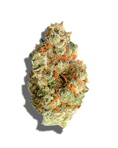 Cereal Milk(Hybrid)