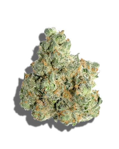 Sunset Dreamz(Hybrid)