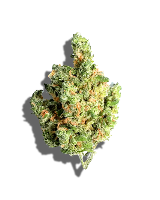 Benny Blanco(Sativa)