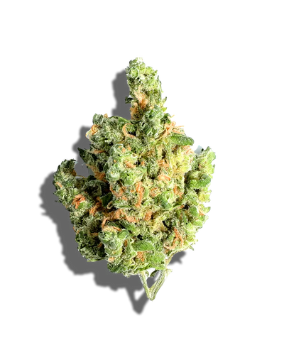 Glitter Bomb(Hybrid)