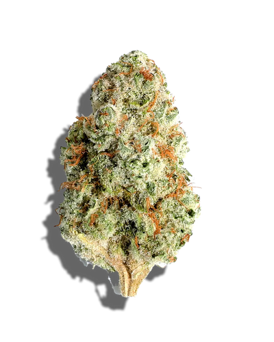 Pink Sherbet(Hybrid)