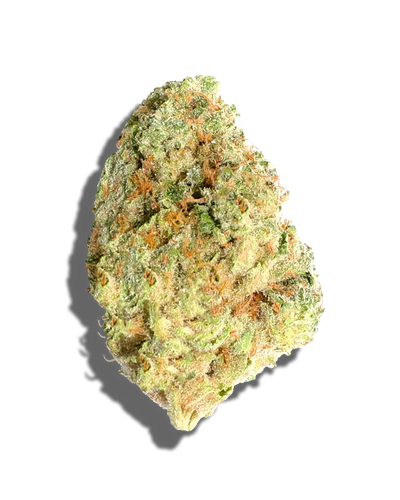 Platinum Gelato(Hybrid)