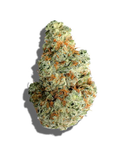 Panty Dropper(Indica)
