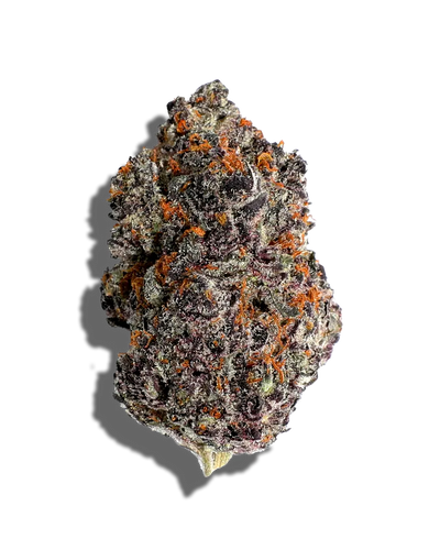 Strawberry Jam(Hybrid)
