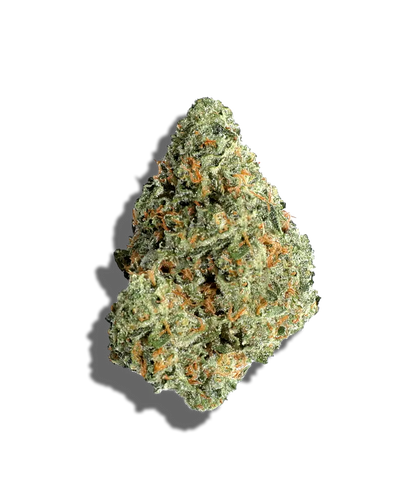 Cheetah Piss(Sativa Dom)
