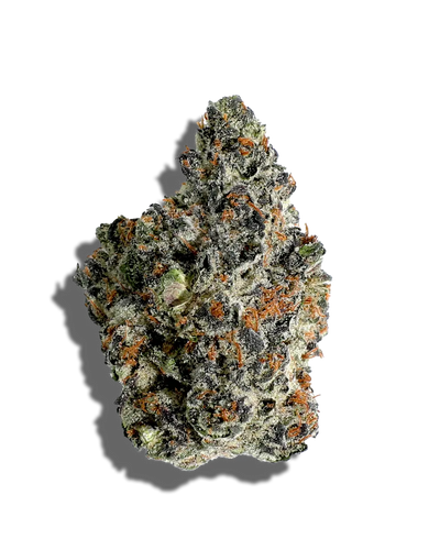Obama Runtz(Hybrid)