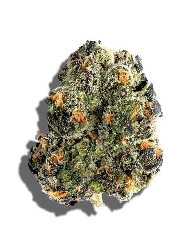 Garscotti Runtz(Hybrid)