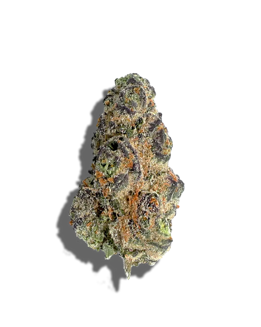 Blue Zoda(Hybrid)